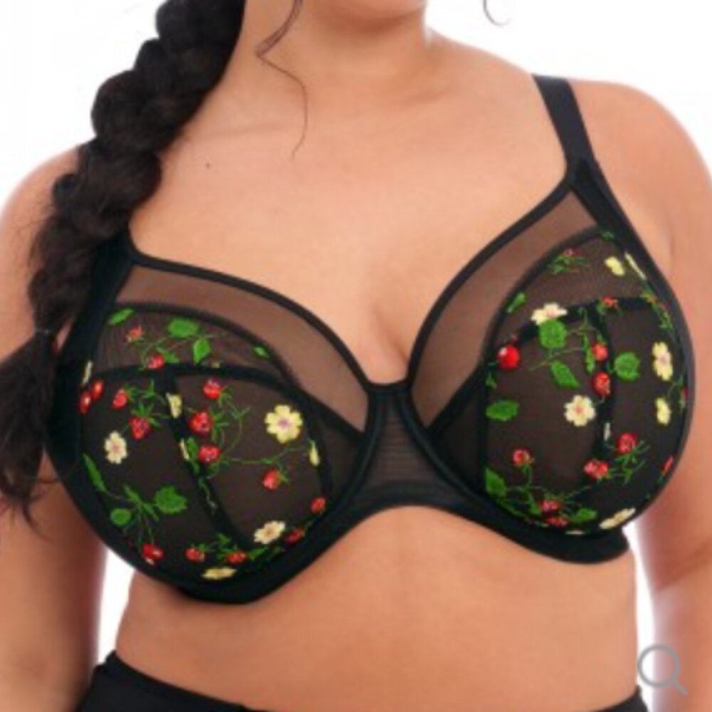 Elomi Samira embroidered plunge bra — 32HH / 32L — NWT